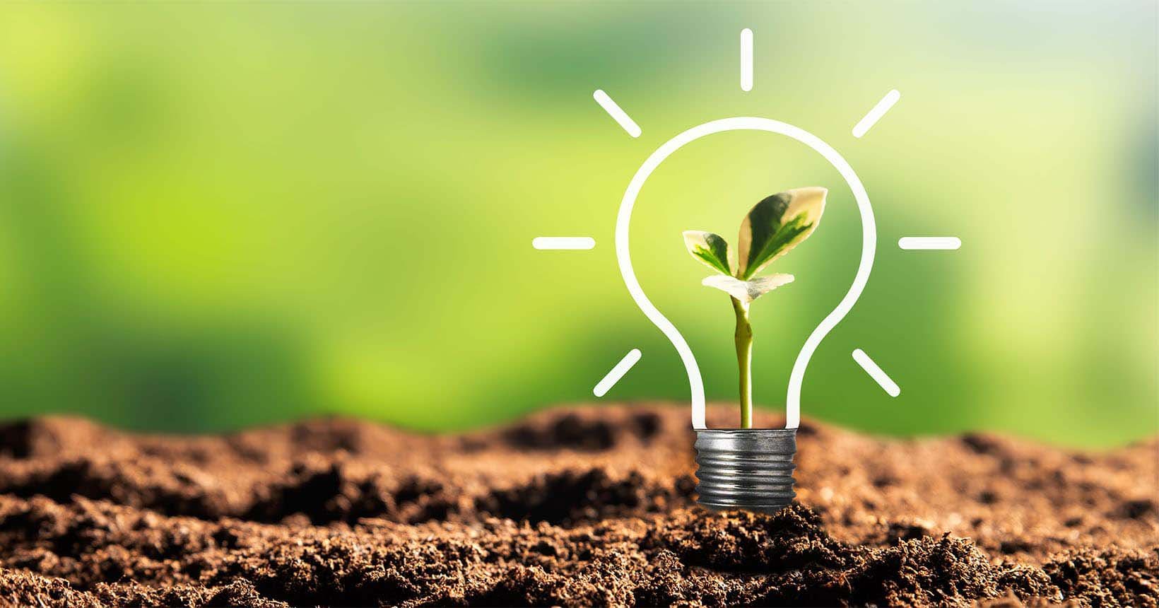 sustainability-gen-z